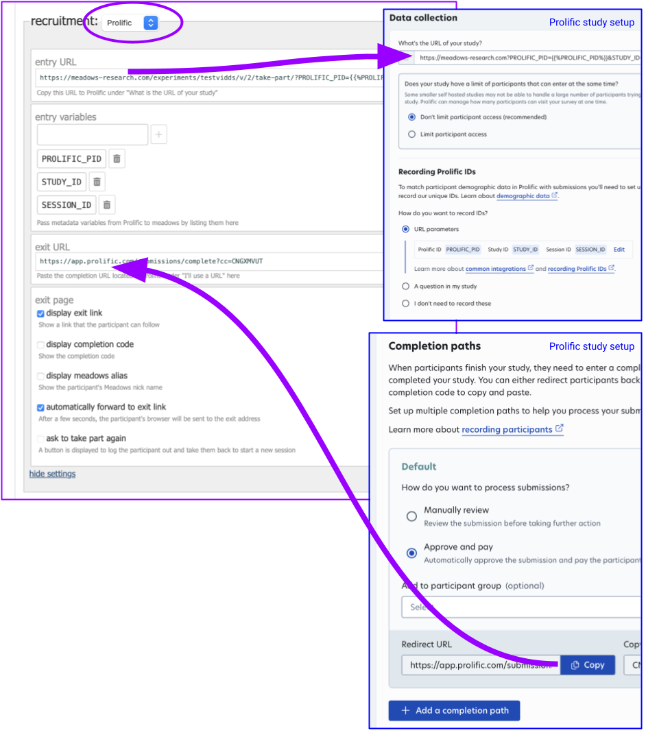 Example Prolific Batch